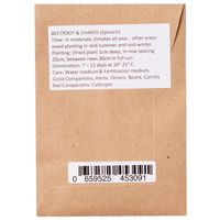 Sandveld Seeds Spinach Fordhoek Giant alike